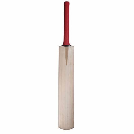 Cricket Bat
